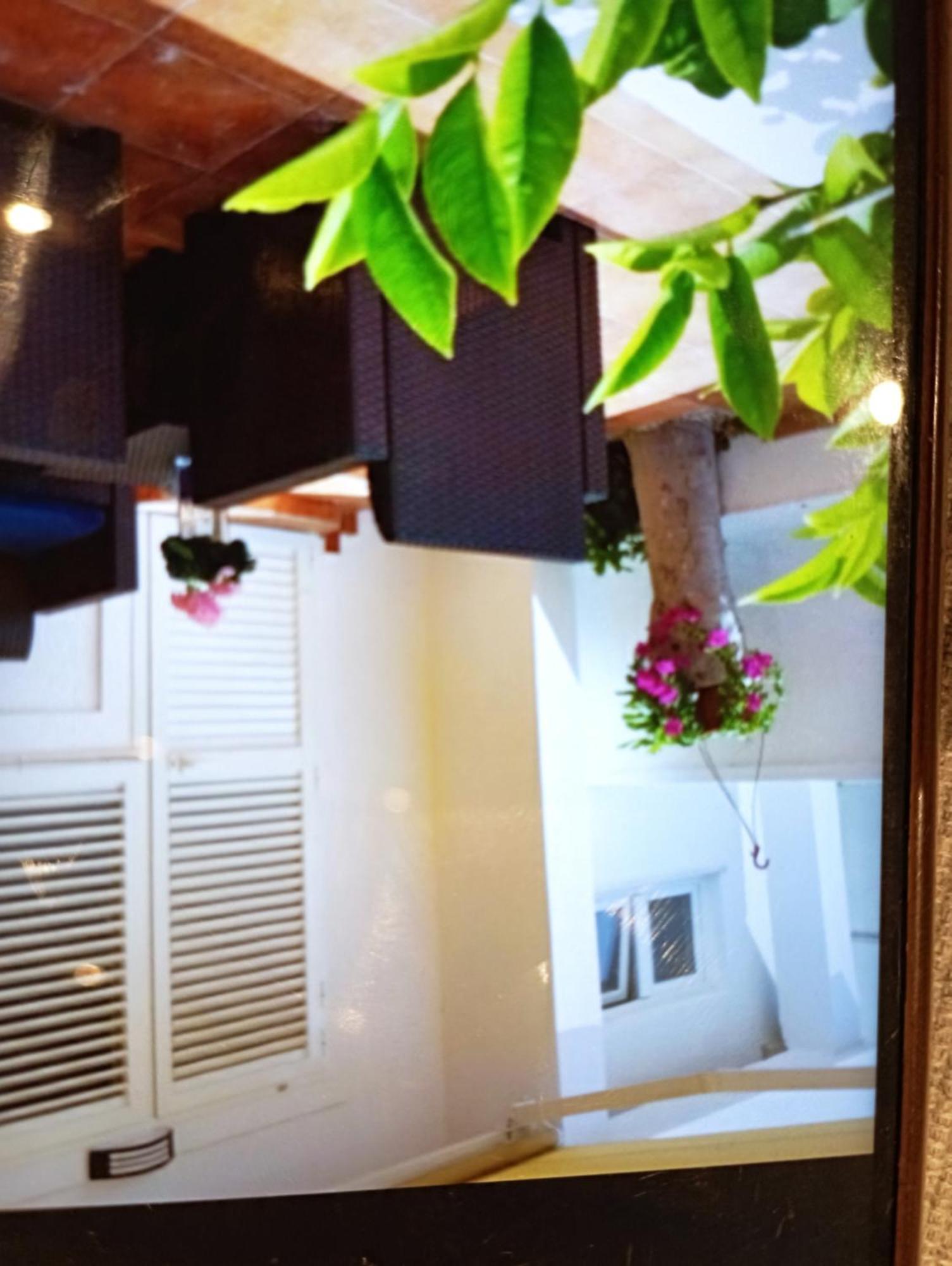 Apartmani Trubi 1 Водице Екстериор снимка